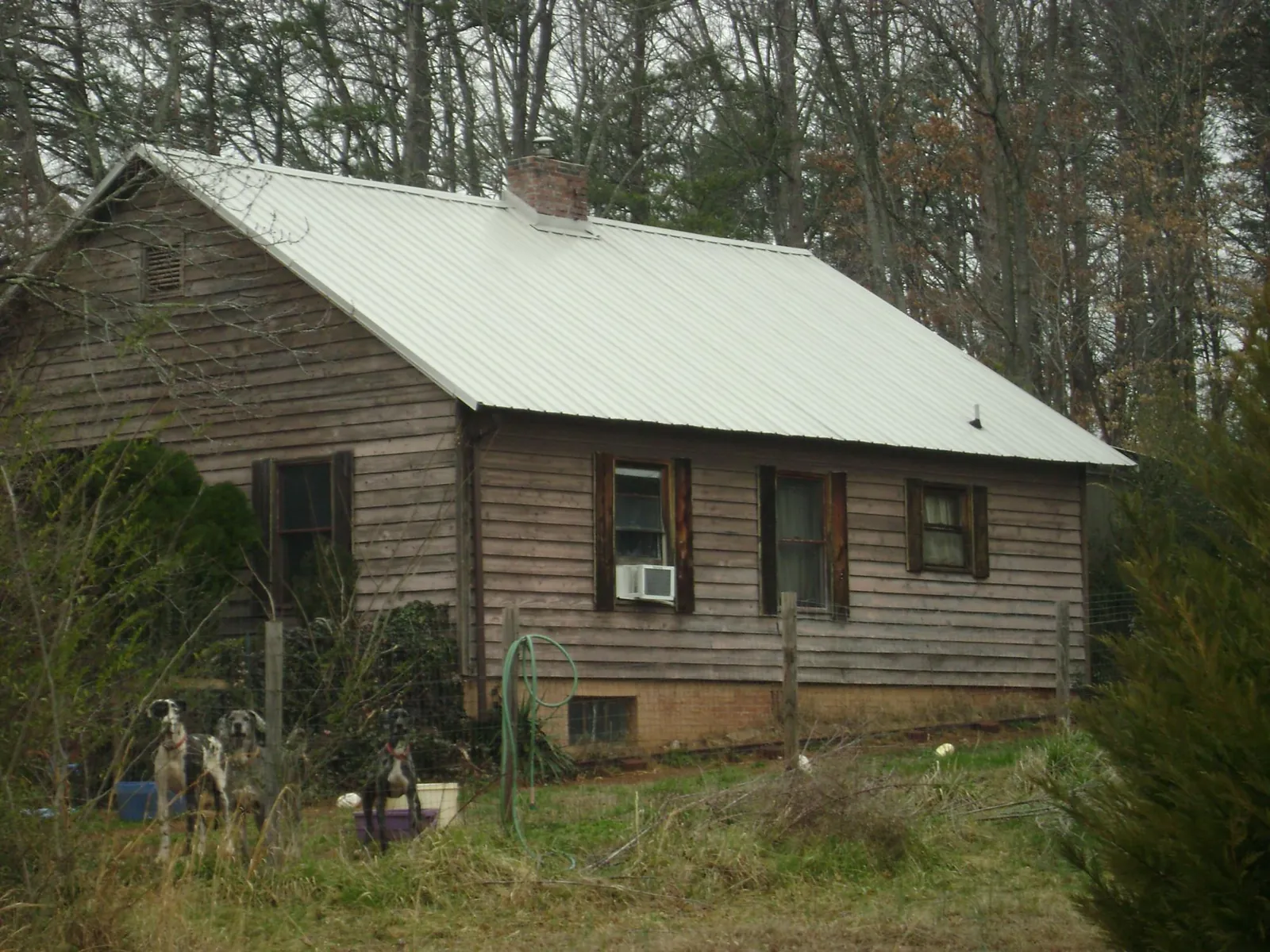 White metal roof on an old wood sided farmhouse, from a Asphalt Shingle Roof Repair job in South Weymouth